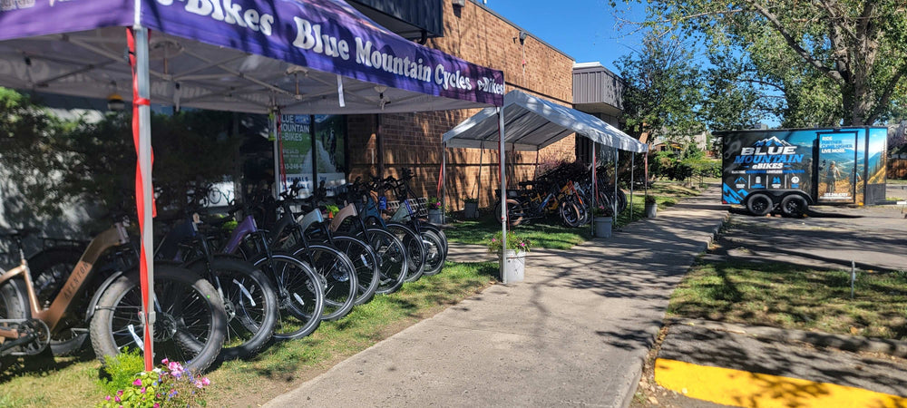 Test Ride Fleet